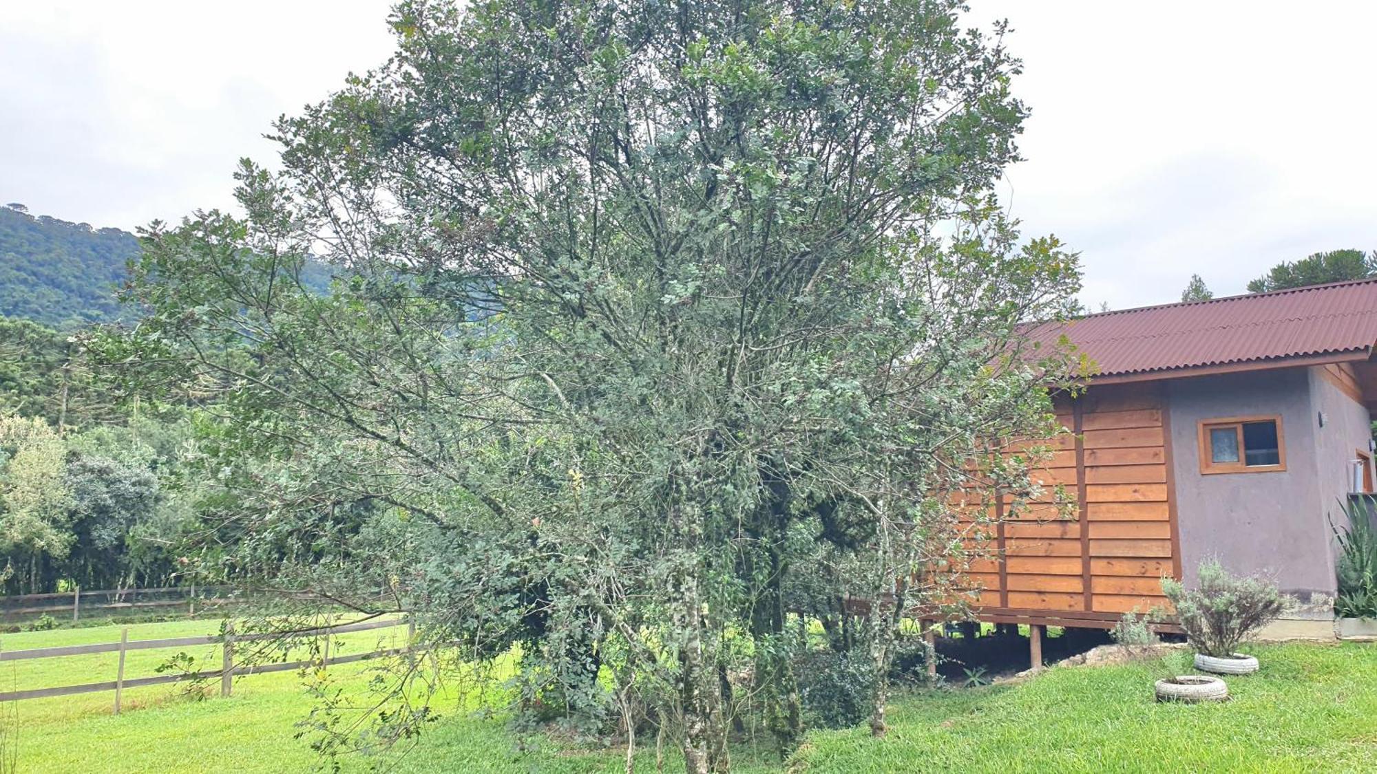 Pousada Vale Da Imbuia Chale Para Temporada Urubici Exterior foto